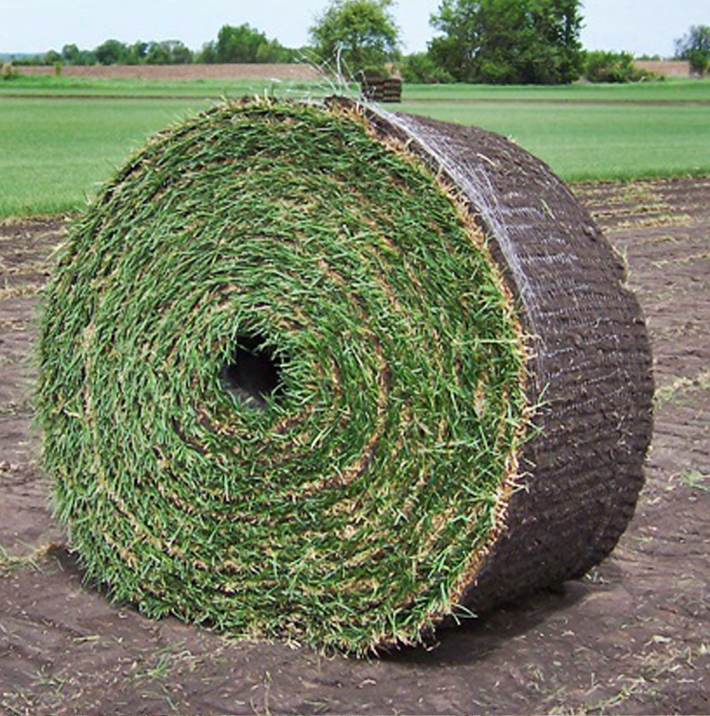 Big Roll